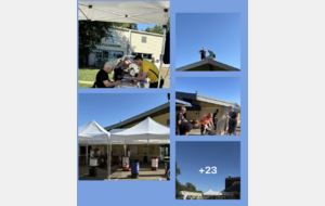 Tournois de Pétanque 2025