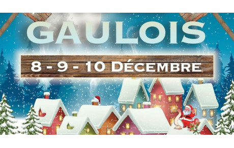 NOEL GAULOIS VIEUGY